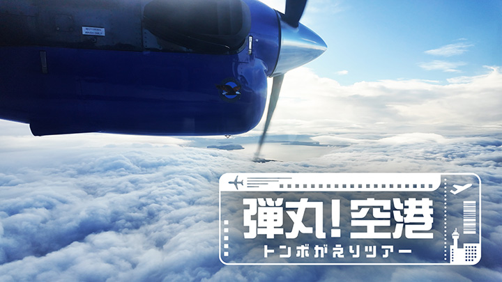 弾丸!空港トンボがえりツアー スコットランド・バラ空港 写真