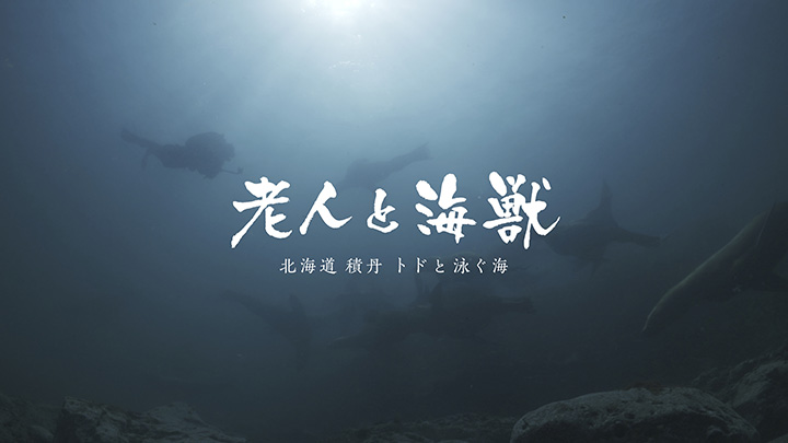 ETV特集 老人と海獣 ~北海道 積丹 トドと泳ぐ海~ 写真